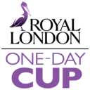 Domestic Cricket Logo